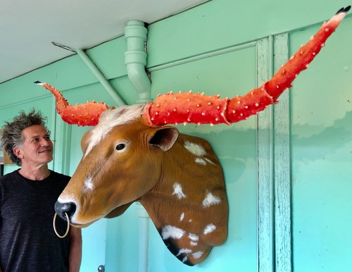 One kind texas - kind,, longhorn