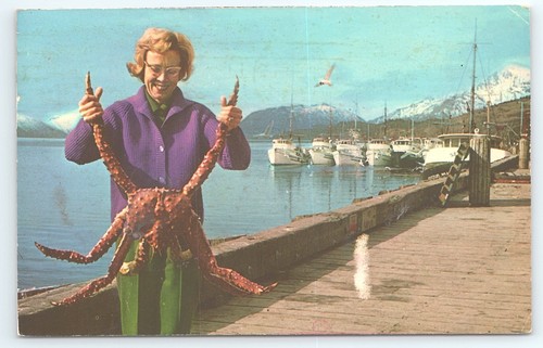 Postcard giant alaskan king - postcard,